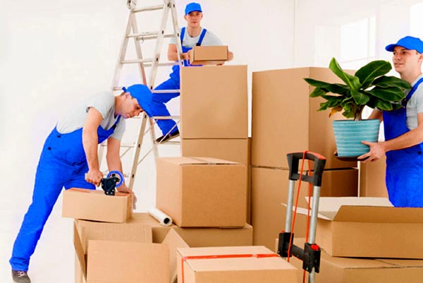 Kaveri Cargo Packers and Movers